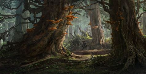 ArtStation - Forest environment concept 2, Sergey Vasnev | Fantasy concept art, Concept art ...