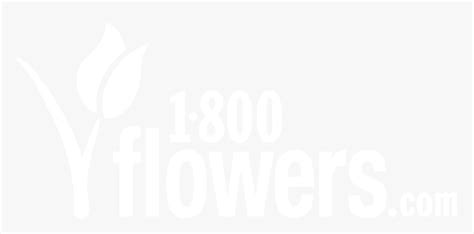 1-800analytics - 1 800 Flowers Logo Png, Transparent Png - kindpng