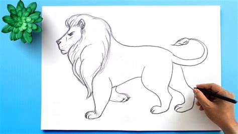 how to draw a lion easy - Tatyana Staples