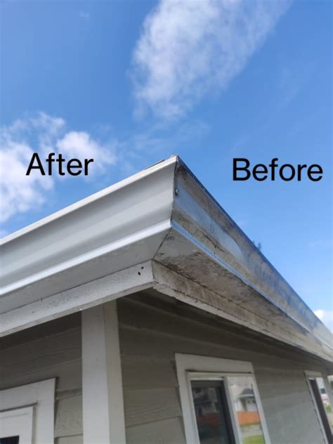 Roof and Gutter Cleaning Tips - Red Door Pro Wash