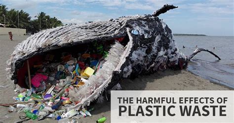 HARMFUL EFFECTS OF PLASTIC – Endz