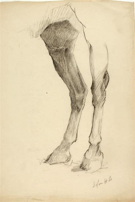 Horse's Leg | Smithsonian American Art Museum