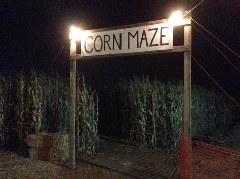 Corn Maze-Halloween Night Special