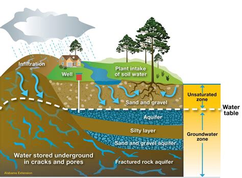 Water Table Aquifer Diagram