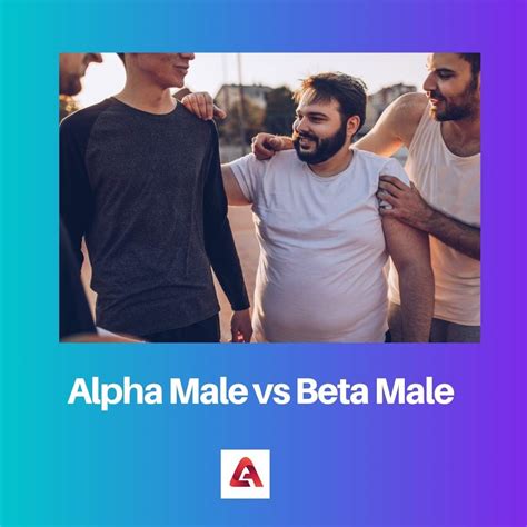 Alpha Vs Beta Male Chart