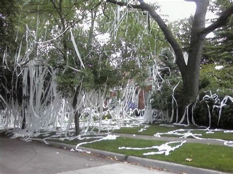 Huge Toilet Paper prank on a home in Pleasant Ridge (11 pics) - Izismile.com