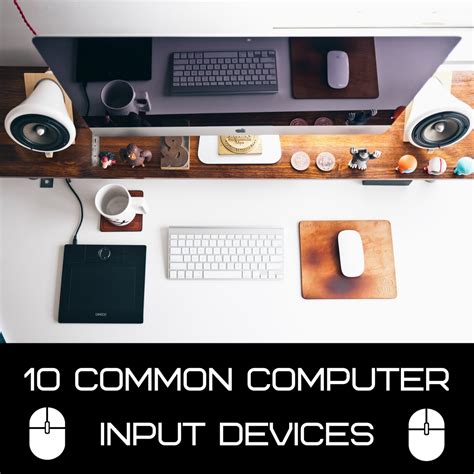 Computer Basics: What Is an Input Device? 10 Examples - HubPages