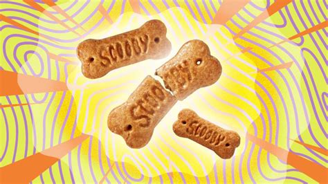 Scooby Snacks IRL: We Tried Dog Treats for People | Sporked