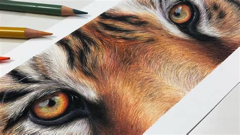 Tiger Eyes Drawing In Pencil