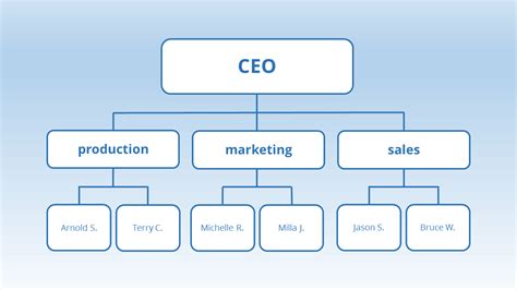 Functional Organizational Structure Template