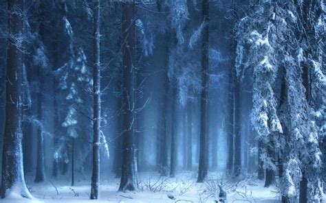 Dark Winter Forest Wallpapers - Top Free Dark Winter Forest Backgrounds - WallpaperAccess