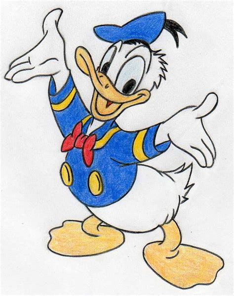 Donald Duck Disney Cartoon Drawing With Colours - pic-leg