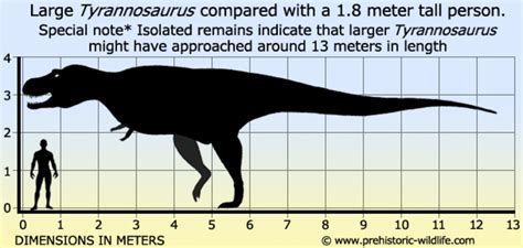 Tyrannosaurus Rex: Quick Facts - Owlcation