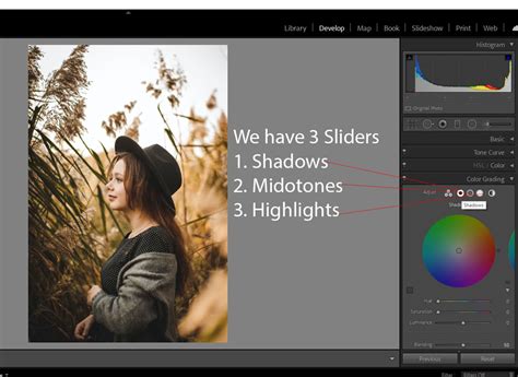 How to Use New Color Grading Tools in Lightroom Classic - PSD Stack