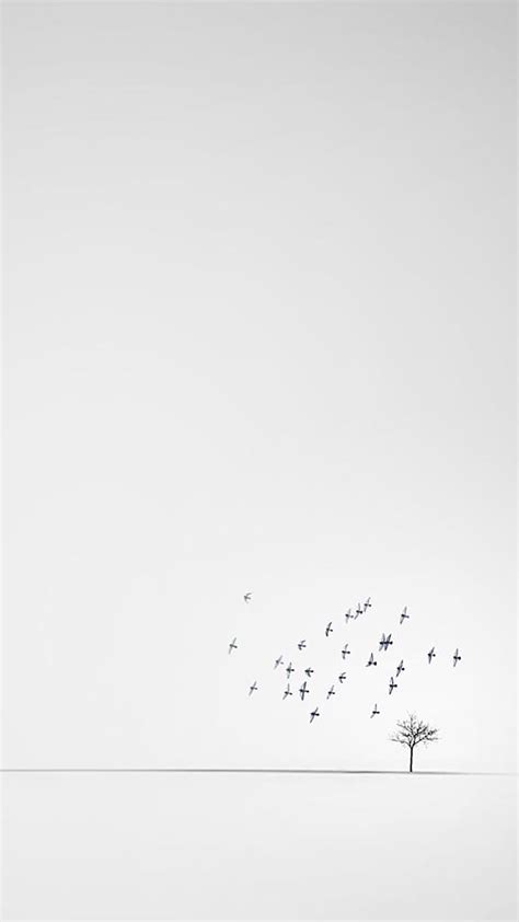 Black And White Minimalist Wallpaper Phone : Minimalistic background black wallpaper minimalist ...