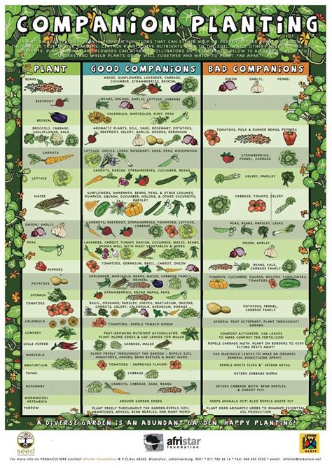 Companion Planting Chart - Growin Crazy Acres