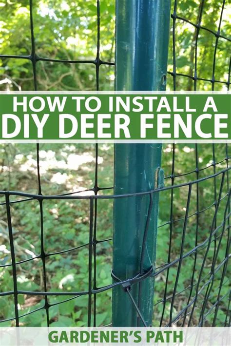 Easy Gardener Deer Fencing - Garden Design Ideas