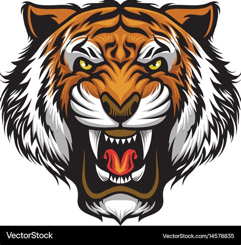 Angry Tiger Face Vector