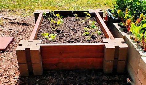 Easy Raised Garden Bed - Building a DIY Raised Vegetable Garden Bed