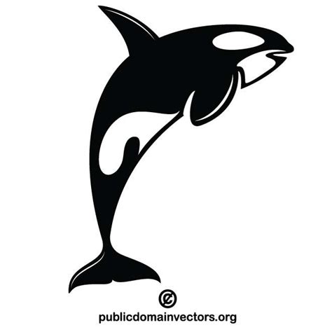 Killer whale Royalty Free Stock SVG Vector and Clip Art