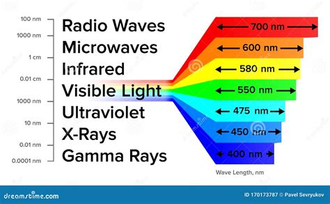 Electromagnetic Spectrum Information Gamma Rays Scheme Vector Stock Illustration - Illustration ...