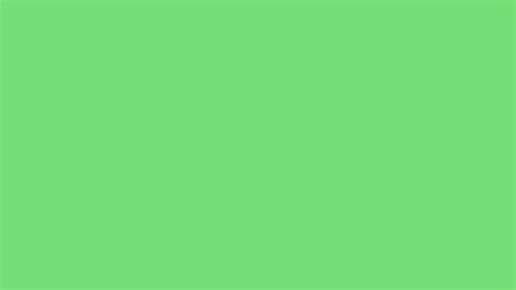 2560x1440 Pastel Green Solid Color Background