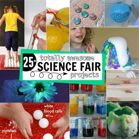 25+ Totally Awesome Science Fair Project Ideas For Kids