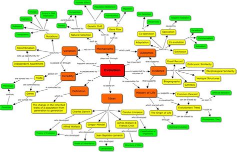 Evolution Concept Map | Evolution concept map, Concept map, Biology lessons