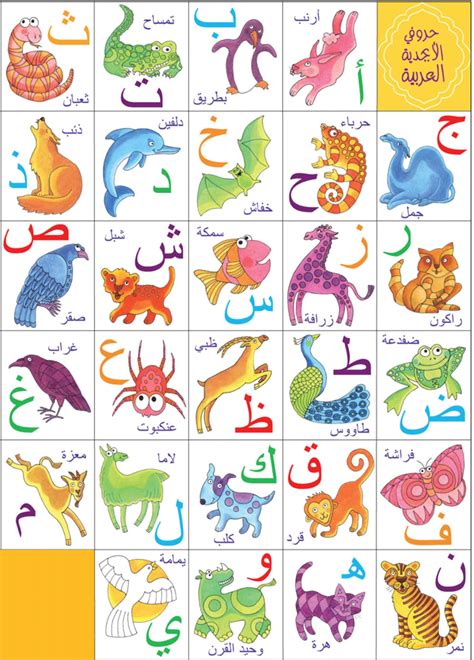 The Arabic Alphabet | Oppidan Library