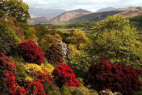 History of the Gardens at Muncaster Castle