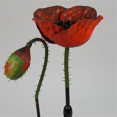 The power of the poppy: Exploring opium through "The Wizard of Oz" | National Museum of American ...