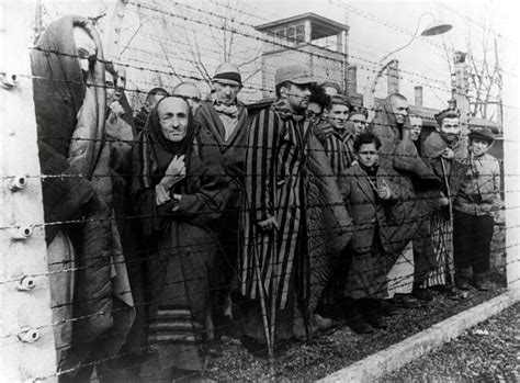 Liberation of Auschwitz | CNN