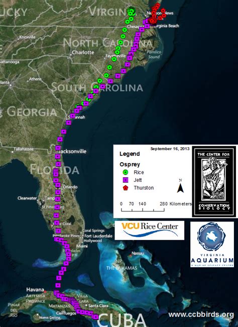 Osprey Migration Update! Cuba! - The Center for Conservation Biology