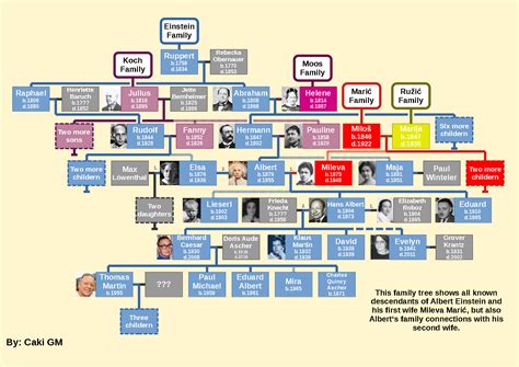 Albert Einstein's family tree : r/UsefulCharts