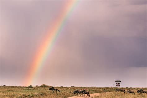 Maasai Mara National Park Reserve MagicalKenya Sunset & Sunrise - Wildlife Photography on Fstoppers