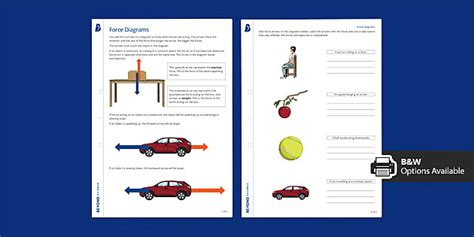 Force Diagrams Independent Learning Worksheet | Beyond