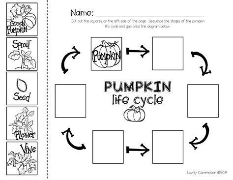 Pumpkin Sequencing Worksheet For Preschool