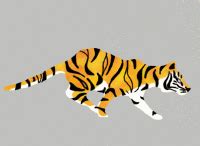 Tiger Walking Animated Gif