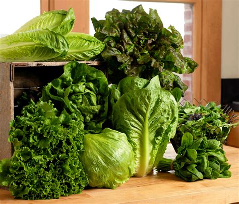 Green Leaf Lettuce Nutrition Facts & Information | LettuceInfo.org