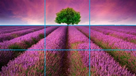 What is the Rule of Thirds and How to Use it | PhotoWorldTours