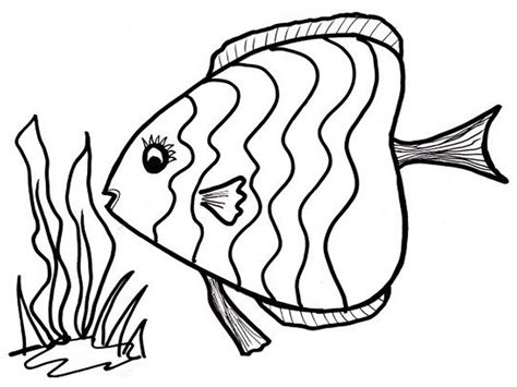 Fish Coloring Page 2020 Printable | Activity Shelter