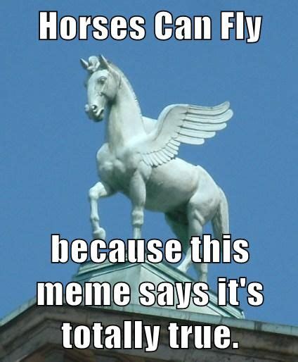 Horses Can Fly because this meme says it's totally true. | Pegasus, Perseus greek mythology ...