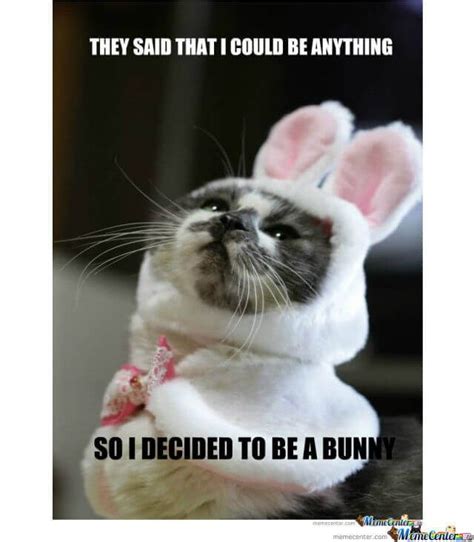 26 Bunny Memes That Are Way Too Cute For Your Screen Bunny Meme, Funny Animals, Cute Animals ...