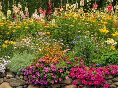 10 Must-Have Cottage Garden Flowers