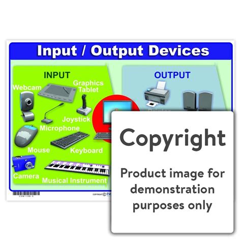 Input / Output Devices – Depicta