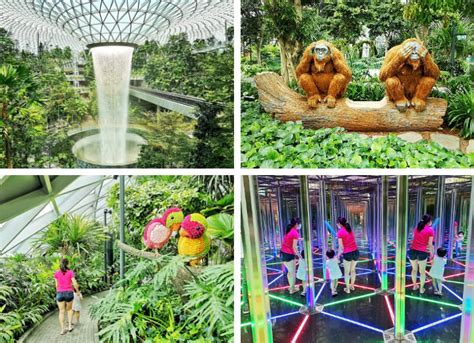 Jewel Changi Canopy Park