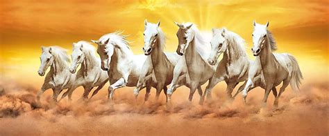 Download 7 White Horses Running Through Brown Mist Wallpaper | Wallpapers.com