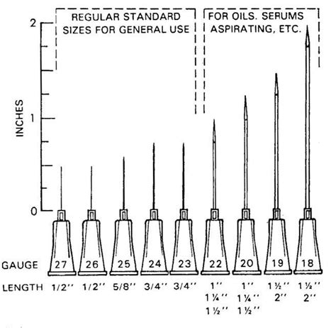 Needle Gauge Sizes - CatalinacelBoone