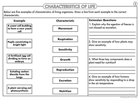 Characteristics Of Life Worksheet – Owhentheyanks.com