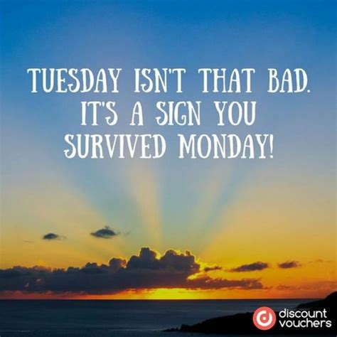 101 Funny Tuesday Memes When You're Happy You Survived a Workday